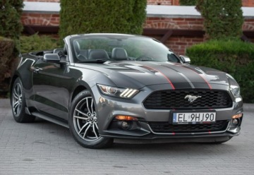 Ford Mustang VI Convertible 2.3 EcoBoost 317KM 2016 Ford Mustang Lift ! Cabrio 2.3i 317KM Super Stan !, zdjęcie 3