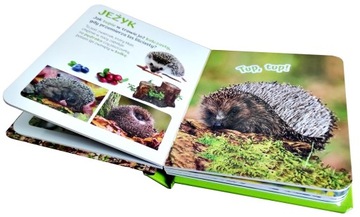 КНИГА КНИГА КРИВОТЕНИЕ ДИКОГО ЖИВОТНОГО