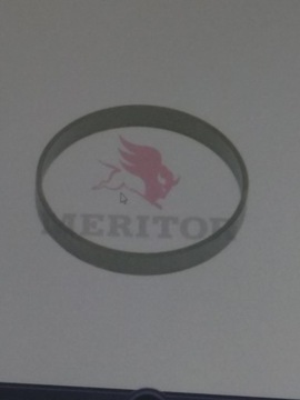 Pierścień dystansowy Meritor