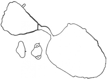 ПРОКЛАДКА КЛАПАНОВОЙ КРЫШКИ BMW E60 E61 520i N43