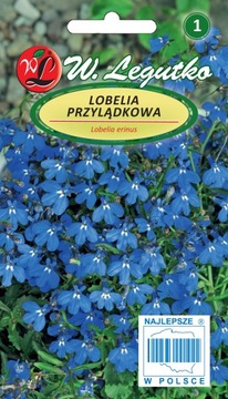 Nasiona lobelie LOBELIA ERINUS 0,2 g