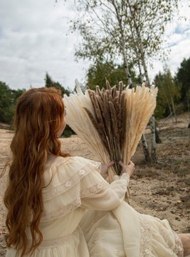 SUSZONA TRAWA PAMPASOWA DO WAZONU OZDOBNA PAMPASY