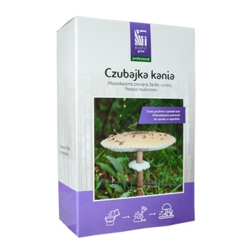 KANIA, Marcrolepiota procera, żywa grzybnia 750 ml