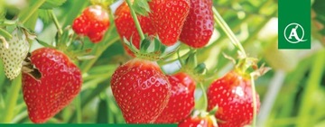 Флоровит универсальное садовое удобрение 20л.