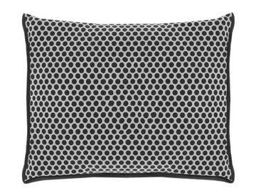 Осушитель с поглотителем влаги для автомобиля