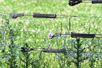 Пружинный натяжитель для проволочного каната Пружинный натяжитель оплетки