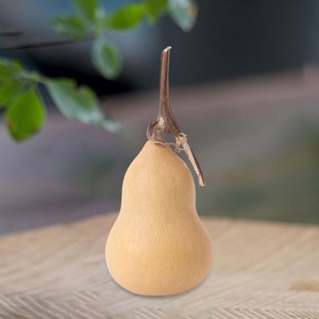 Gurda Kształt Suszona Dynia Dyniowaty Tykwa W Kszt