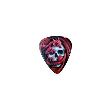 Гитарные медиаторы 6 шт. Необычные черепа! медиатор Feather | Череп