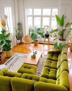 ЗЕМЛЯНОЙ СУБСТРАТ ДЛЯ ДОМАШНИХ ЗЕЛЕННЫХ РАСТЕНИЙ MONSTERY ZAMIOKULCASA PALM 20л