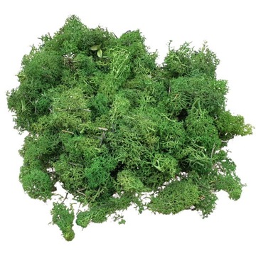 Skrawki z chrobotka Ciemnozielonego Karton 600g