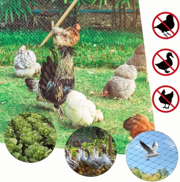 15x15м ЗАЩИТНАЯ СЕТЬ ОТ ПТИЦ ДЛЯ ВИШНИ