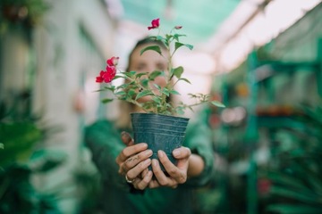 BIGOS Universal Earth Monstera Flowers 15л Биогумус Керамзит Перлит