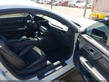 Ford Mustang VI 2024 Ford Mustang Ecoboost Premium Fastback 2024 2.3l 2.3 Benzyna 315KM, zdjęcie 9