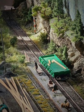 Фреон МСУ2 - Лиственница европейская сухая, высота 14-16 см.