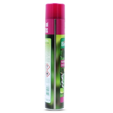 Plant Flower Leaves Shine 750мл Букет Спрей GLOSS Shine