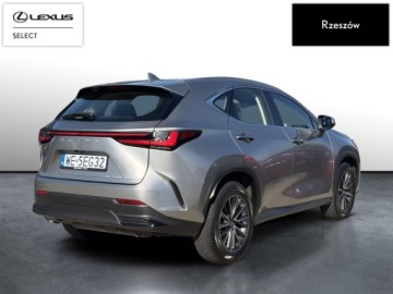 Lexus NX II SUV Facelifting 2.5 350h 243KM 2024 Lexus NX 350h Elegance 2WD II (2021-) NX350h Elega, zdjęcie 4