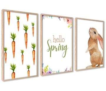 Plakaty 3 szt Wiosenne Hello Spring Kwiaty Królik Marchewki Ilustracje Ramy