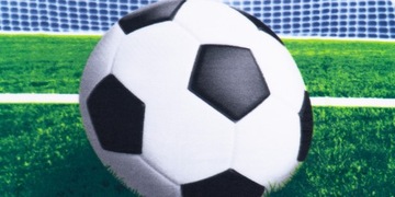 Флисовое одеяло для покрытия футбольного поля и мяча