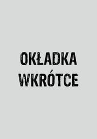 Ocena bezpieczeństwa w sieci w. III