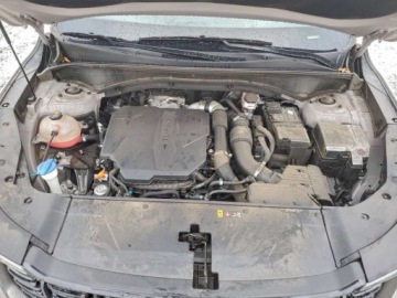 Kia Sorento IV 2024 Kia Sorento Sx 2024 2.5 Benzyna 281KM, zdjęcie 6