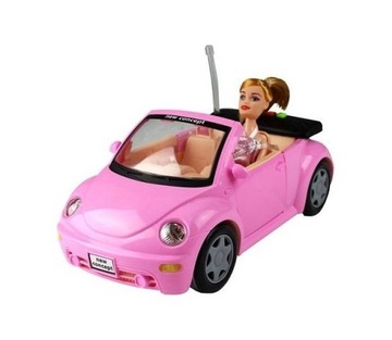 ND39_418790 -MC AUTO OSOB DZ/SW AKC 33X19X16 WB18