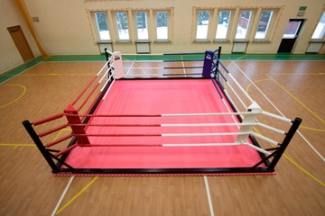 ПРОФЕССИОНАЛЬНЫЙ УГОЛОК ДЛЯ БОКСЕРСКОГО РИНГА, ЦВЕТНОЙ