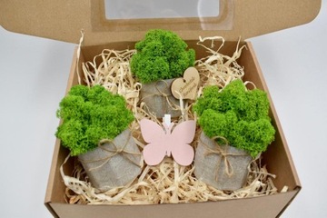 Весенний набор крабовых лесов