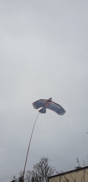 Профессиональный отпугиватель птиц KITE falcon EAGLE + 7M MAST + SWIRL