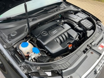 Audi A3 8P Hatchback 3d 1.6 102KM 2009 Audi a3 AUTOMAT KLIMATYZACJA PARKTRONIC EL.SZYBY EL.LUSTERKA GWARANCJA SER, zdjęcie 18