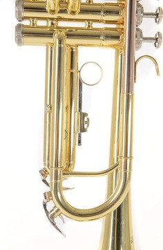 Труба Roy Benson TR-101 + футляр