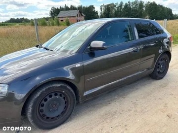 Audi A3 8P Hatchback 3d 1.9 TDI 105KM 2006 Audi A3 3-drzwiowe 1.9 Diesel 105KM, zdjęcie 6