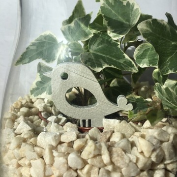 PIKA TOPER ЛЕСНАЯ БАНКА ПТИЦА 8СМ 10ШТ ПИКА ДЕКОР