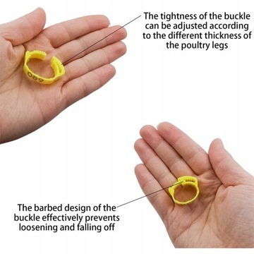 Маркеры-кольца для кур, гусей, птиц, 30 шт м4.