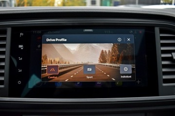 Cupra Ateca Crossover Facelifting 1.5 TSI 150KM 2024 Cupra Ateca Bezwypadkowy / Salon Polska / Serwis, zdjęcie 20