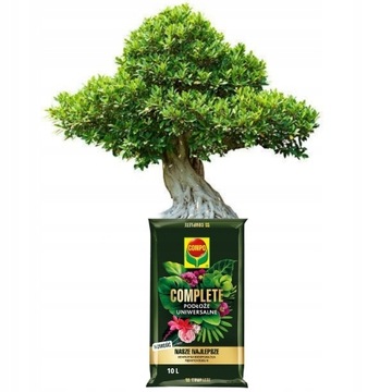 COMPO КОМПЛЕКСНАЯ ПОЧВА ДЛЯ ЦВЕТОВ В ГОРШКАХ - НАШ ЛУЧШИЙ СУБСТРАТ 10Л