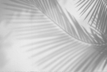 FOTOTAPETA 400x254 tapeta na flizelinie BOHO #F050