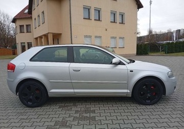 Audi A3 8L Hatchback 1.6 i 102KM 2003 Audi A3 3-drzwiowe Zarejestrowany - ubezpieczony - 1,6 - LPG 1.6 102KM, zdjęcie 6