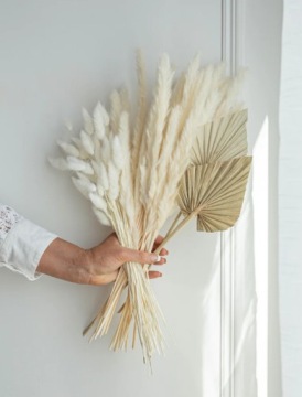 Хвост кролика, Яйцеклетка сушеный лагурус, БЕЛЫЙ, ПУШИСТЫЙ ХВОСТ ЗАЙКИ