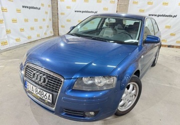 Audi A3 8P Hatchback 3d 1.6 102KM 2007 Audi A3 1.6 Mpi 102KM Piekna Sprawdz, zdjęcie 7