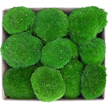 Подушка мох ПРЕМИУМ Темно-Зеленый Картон 0,06 м2