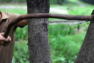 Мультитул Survival Bear Grylls, коробка для соуса