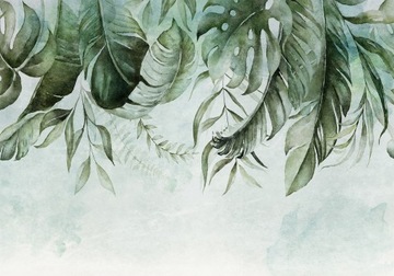 FOTOTAPETA TROPIKALNE LIŚCIE 400x280 b-C-0782-a-a