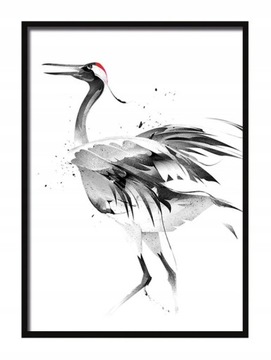 OBRAZ PLAKAT W RAMIE 53x73 cm Żuraw P552
