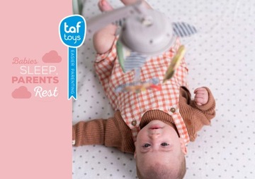 TAF TOYS Карусель Savannah COMPOSERS