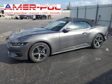 Ford Mustang VI 2024 Ford Mustang 2024, 2.3l, RWD, cabrio 2.5 Benzyna 315KM