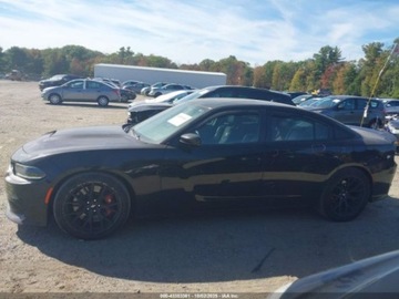 Dodge Charger VII 2019 Dodge Charger Scat Pack 2019 6.4l 6.4 Benzyna 485KM, zdjęcie 2