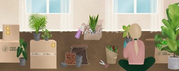 Смесь Бигос Субстрат для Алоказии ПРЕМИУМ 3л