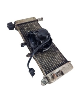 Aprilia RS4 125 COOLER