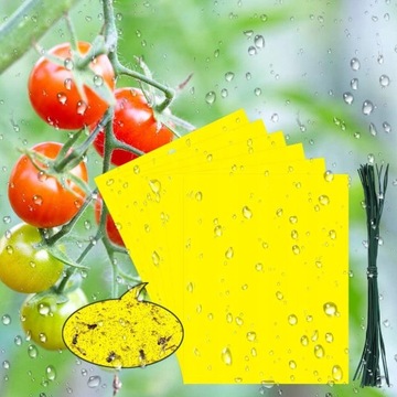 50 штук бумажной ловушки для насекомых и липкой доски