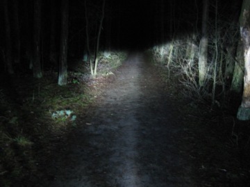 Светодиодная лампа S2 BA20D 25W 35W 12V DC Варадеро